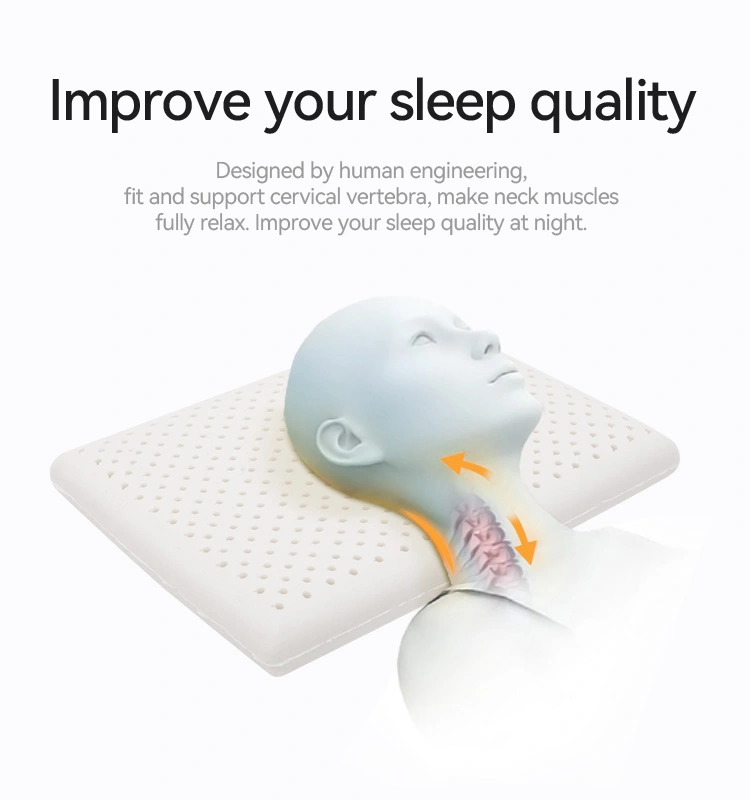 Talalay Latex Bread Pillow